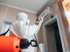 Expert Deratizare - Servicii DDD