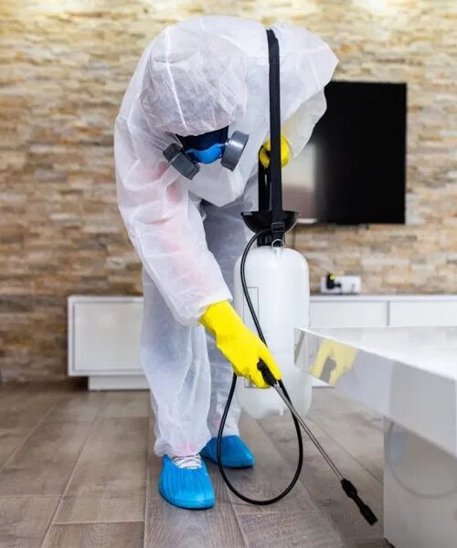 Expert Deratizare - Servicii DDD