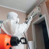 Expert Deratizare - Servicii DDD